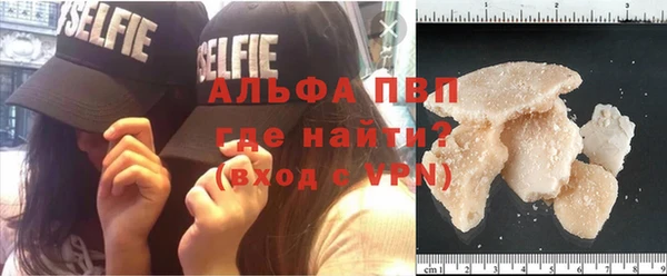 гидропоника Алзамай